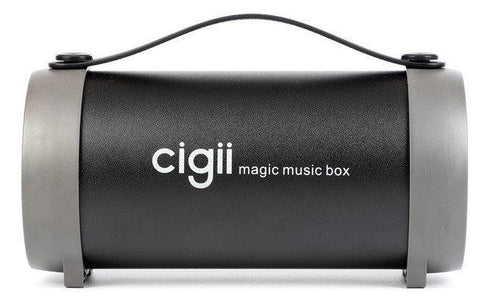 CIGII S22E Bluetooth Speaker