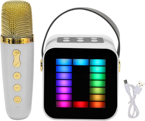 Microphone and Speaker Set | ZX-01