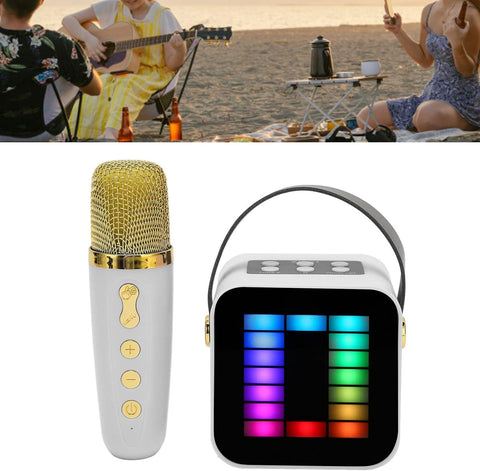 Microphone and Speaker Set | ZX-01