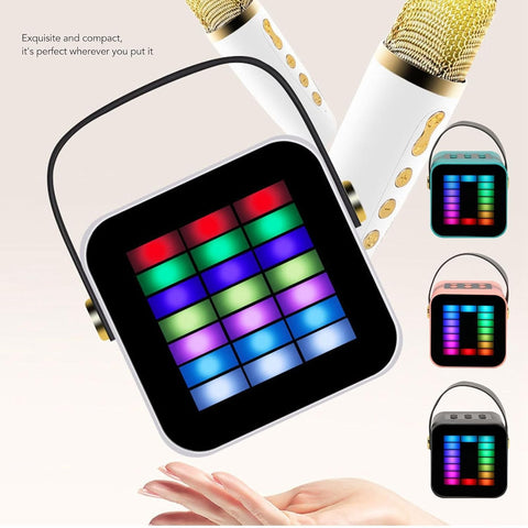 Microphone and Speaker Set | ZX-01