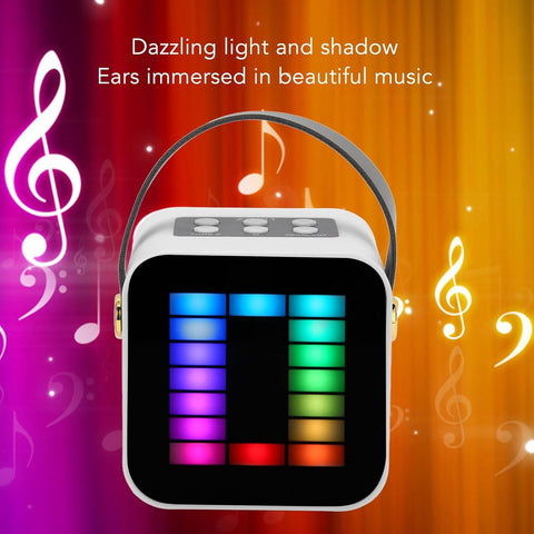 Microphone and Speaker Set | ZX-01