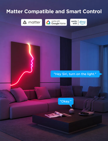 Govee Neon Rope Light 2 - 5 meters
