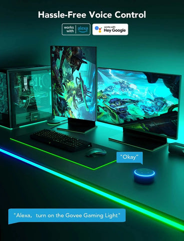 Govee Desk Neon Rope Light