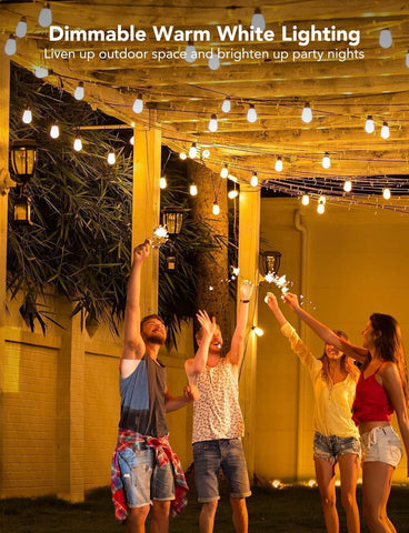 Govee RGBIC Bulb String Lights