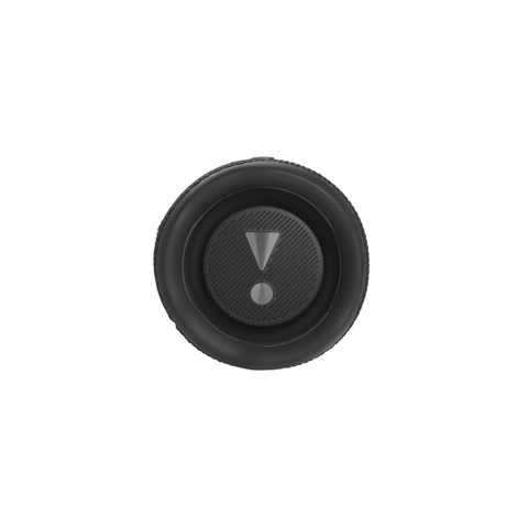 JBL Flip 6