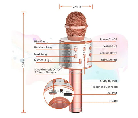 HANDHELD KTV Wireless microphone WS-858