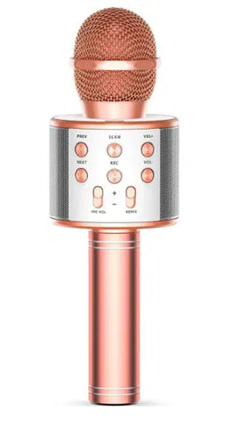 HANDHELD KTV Wireless microphone WS-858