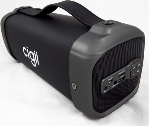 CIGII F61 Speaker