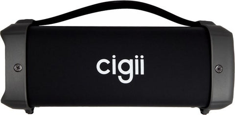 CIGII F61 Speaker