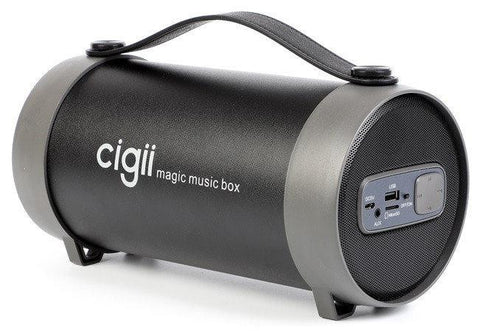 CIGII S22E Bluetooth Speaker